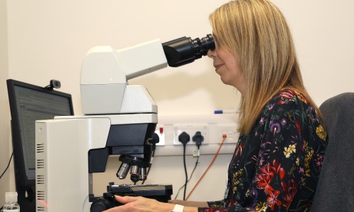 Our Professions = Black Country Pathology Services