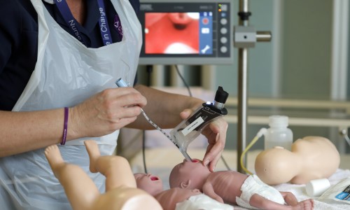 Our professions - Midwifery